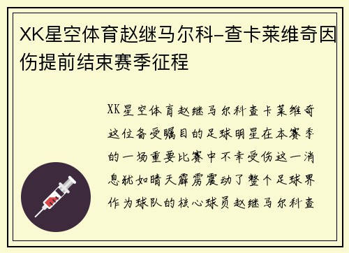 XK星空体育赵继马尔科-查卡莱维奇因伤提前结束赛季征程