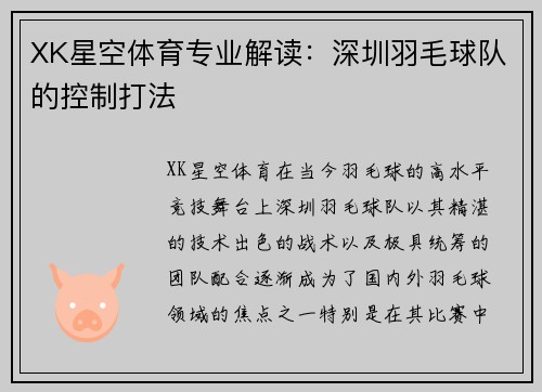 XK星空体育专业解读：深圳羽毛球队的控制打法
